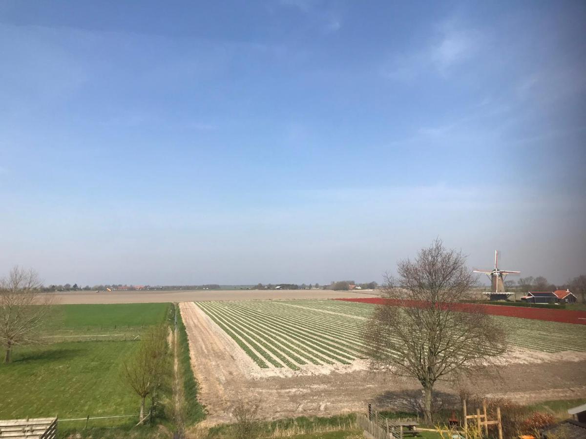In De Gele Hoed Mooie Appartementen Met Fantastisch Uitzicht Zonnemaire Extérieur photo