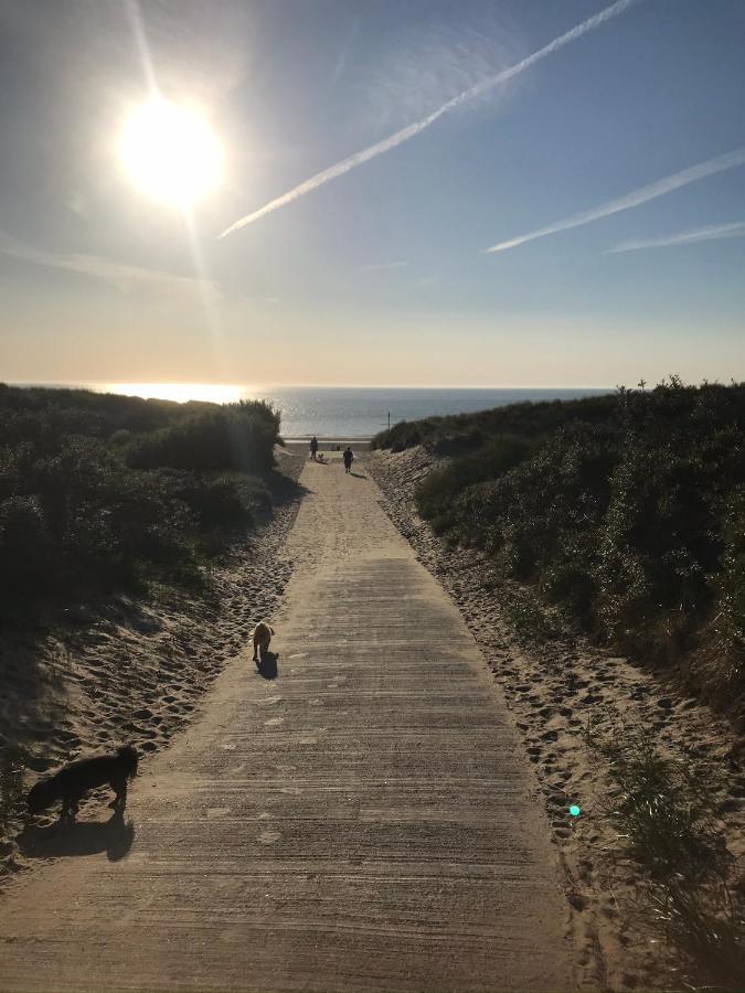 In De Gele Hoed Mooie Appartementen Met Fantastisch Uitzicht Zonnemaire Extérieur photo
